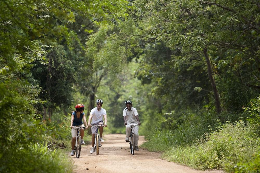 Hotel Sigiriya 5*