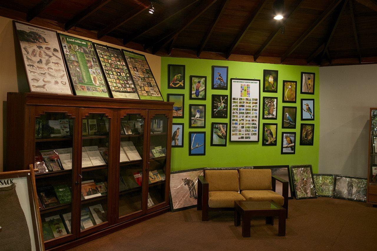 Отель Hotel Sigiriya 5*